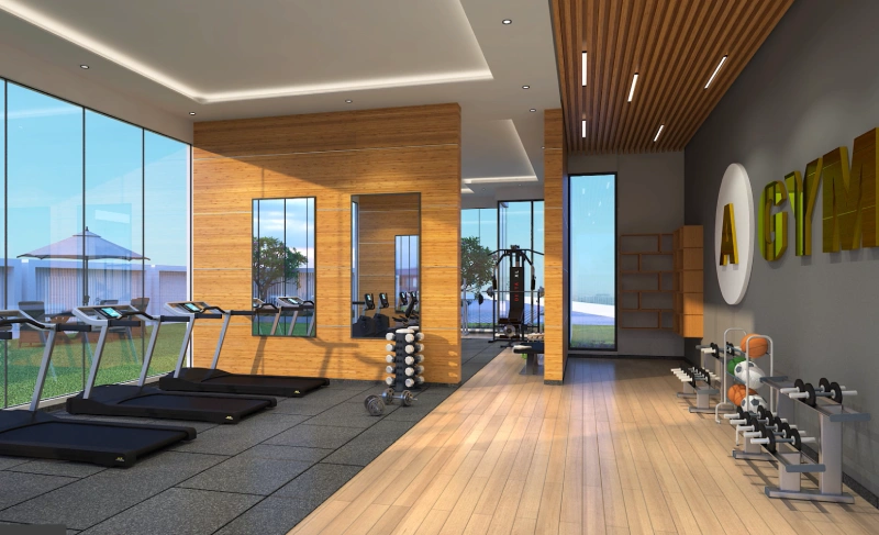 Gymnasium